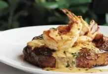 South Tampa Dining Guide | Where To Eat In Tampa Bay South Tampa Dining