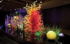 Morean_Chihuly-Collection_WEB