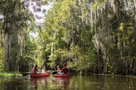 Ritz Carlton Orlando canoeing