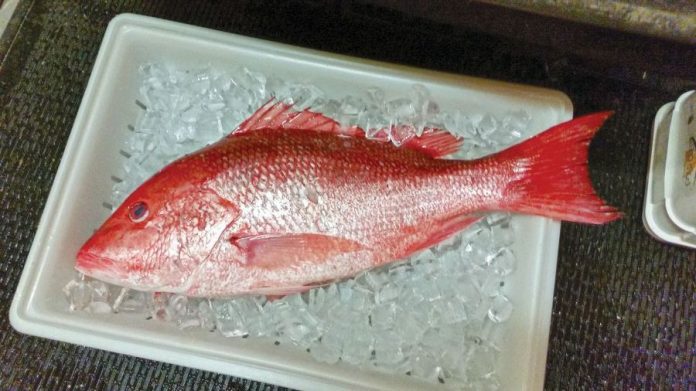 Dewey Destin’s Harborside Restaurant