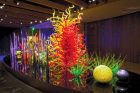 morean-arts-chihuly-web