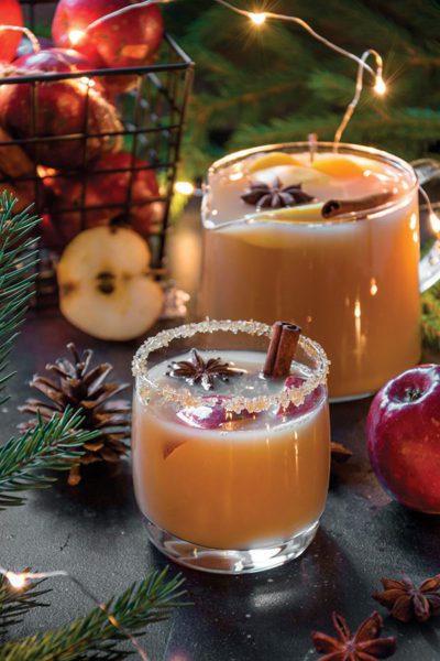 Holiday cider punch recipe