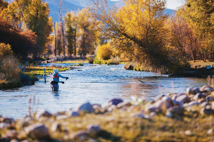 fly fishing the eastern summit's weber river