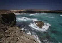 TRAVEL: Island Adventure Awaits with Tropical Breezes & Desert Beauty in Aruba