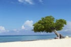 Fofoti View on Eagle Beach