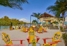 Calling All Parrot Heads & Parakeets