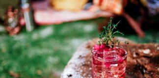 FOUR FESTIVE COCKTAILS TO SHAKE UP THE SEASON Titos Holiday Cocktail