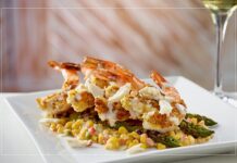 North Tampa Dining Guide | Where To Eat In Tampa Bay Sacred Pepper Tampa