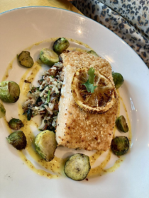 Melting Pot Social Tampa