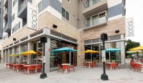 Melting Pot Social Tampa