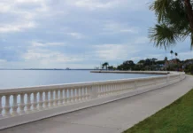 BEST OF METRO: BEST OF SOUTH TAMPA South Tampa – Bayshore Blvd.
