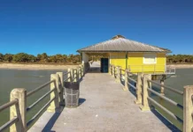 BEST OF METRO: BEST OF THE BEACHES Photo of the Pier in the Fort De Soto Park, Tampa Bay, Florida