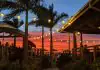 8 GREAT TAMPA BAY WATERFRONT DOCK & DINE LOCATIONS GUIDE Salt Shack Tampa Bay waterfront
