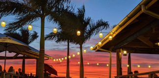 8 GREAT TAMPA BAY WATERFRONT DOCK & DINE LOCATIONS Salt Shack Tampa Bay waterfront