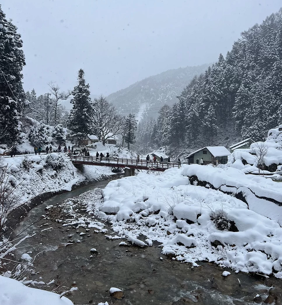 Jigokudani Snow Monkey Park in Nagano