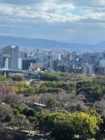 ViewFromOsakaCastle