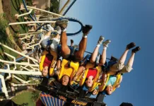 TAMPA BAY ATTRACTIONS, PARKS & BEACHES Busch Gardens - Mantu Roller Coaster Ride