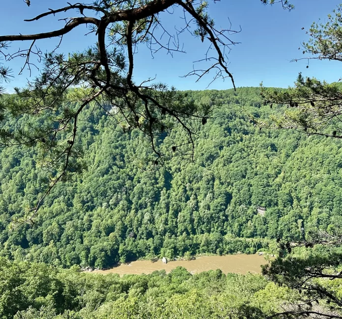 DP Overlook