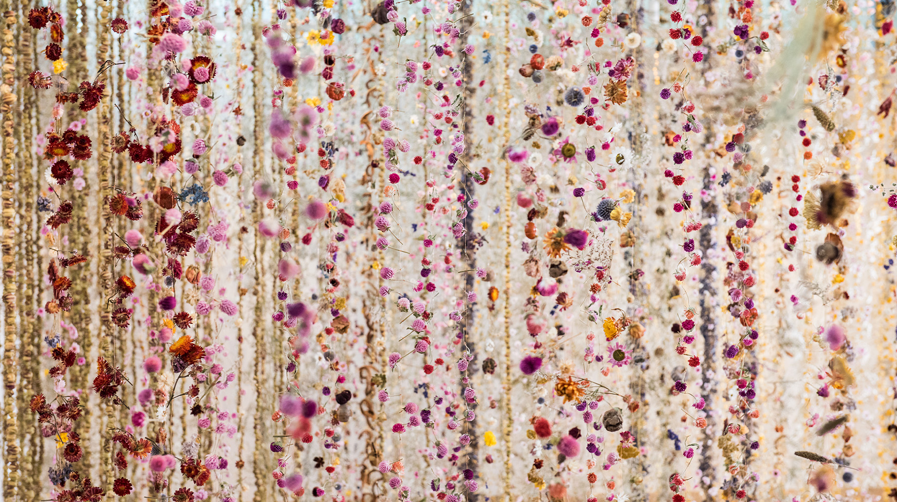 SELBY GARDENS & REBECCA LOUISE LAW COLLABORATION—”THE ORCHID SHOW 2025″