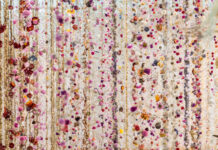 SELBY GARDENS & REBECCA LOUISE LAW COLLABORATION—”THE ORCHID SHOW 2025″ Rebecca Louise Law