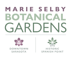 Marie Selby Botanical Gardens