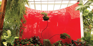 ART EXHIBIT: “ALEXANDER CALDER: THE NATURE OF MOVEMENT” AT SELBY GARDENS Selby Gardens - Alexander Calder