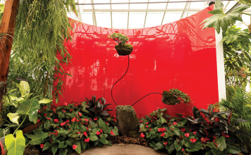 ART EXHIBIT: “ALEXANDER CALDER: THE NATURE OF MOVEMENT” AT SELBY GARDENS Selby Gardens - Alexander Calder