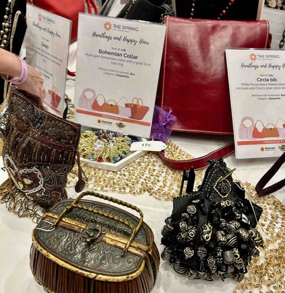 The Spring of Tampa Bay