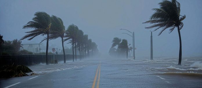 Hurricane and storme preparedness