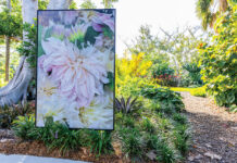 Lynn Goldsmith Photography Exhibit at Selby Gardens Downtown Sarasota Selby Gardens Lynn Goldsmith
