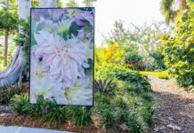 Lynn Goldsmith Photography Exhibit at Selby Gardens Downtown Sarasota Selby Gardens Lynn Goldsmith