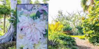 Lynn Goldsmith Photography Exhibit at Selby Gardens Downtown Sarasota Selby Gardens Lynn Goldsmith