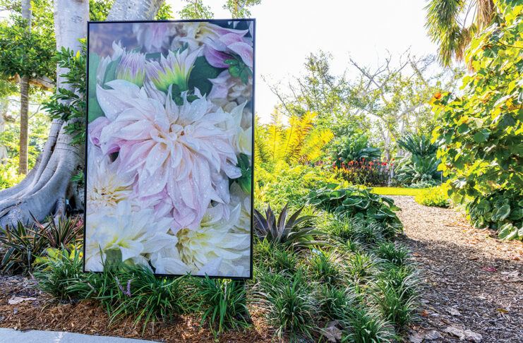 Lynn Goldsmith Photography Exhibit at Selby Gardens Downtown Sarasota Selby Gardens Lynn Goldsmith