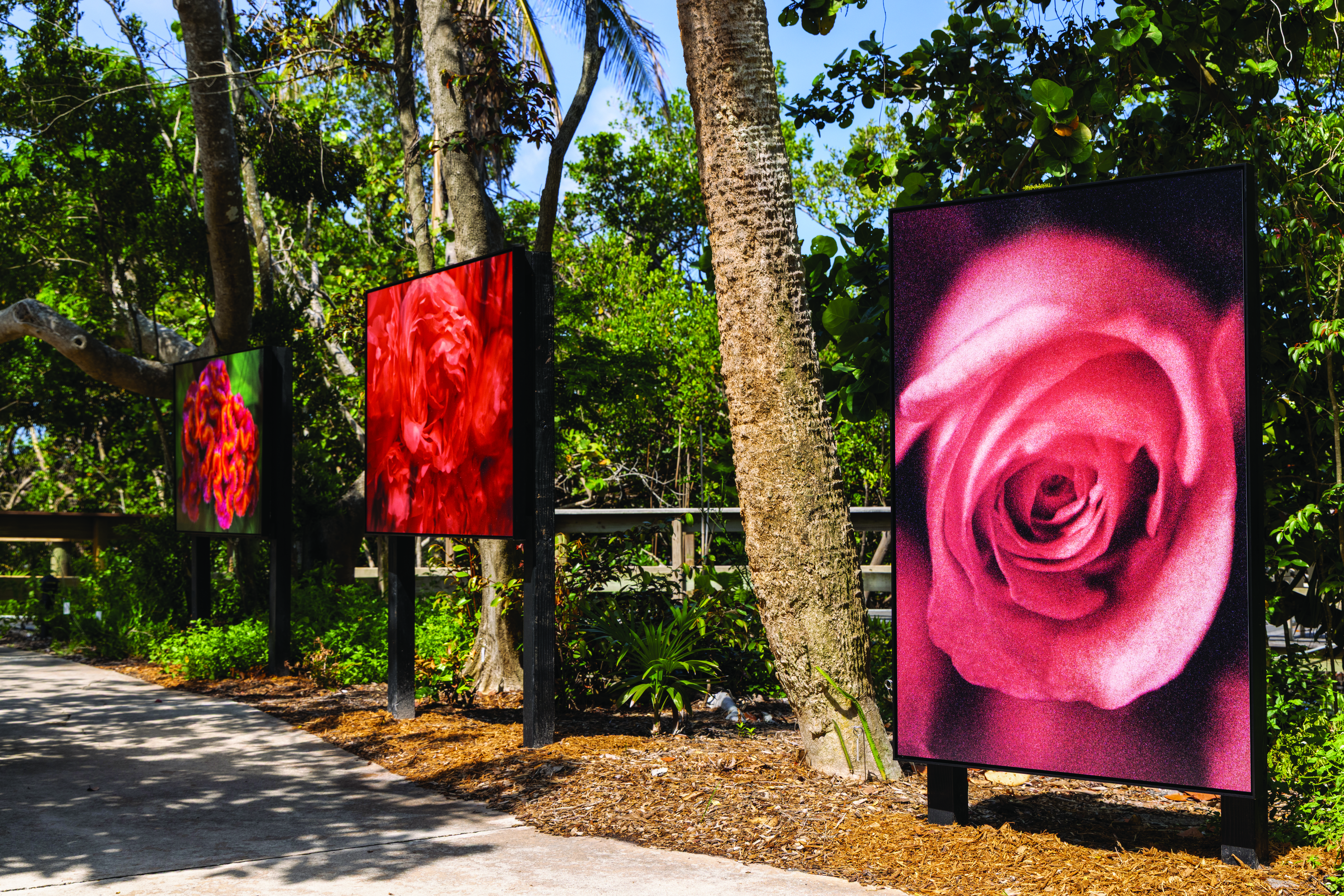 Outdoor portion of exhibition at Selby Gardens Downtown Sarasota - Photo Credit © lynn goldsmith Installation photos by Matthew Holler